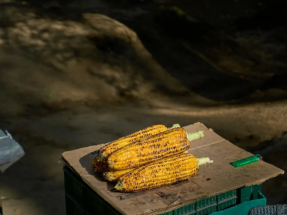 Corn on the Cob